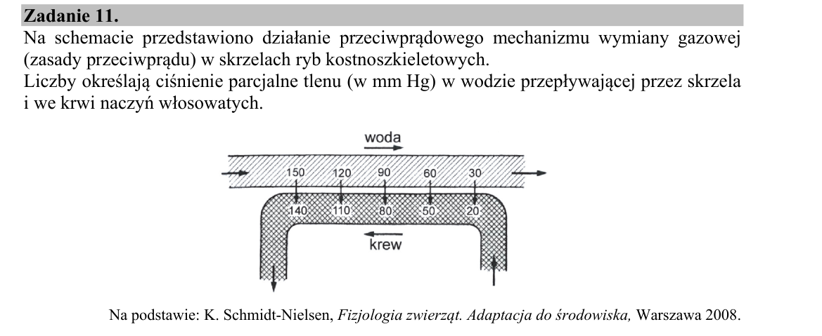 Materiał do zadania 11; strona PDF 12