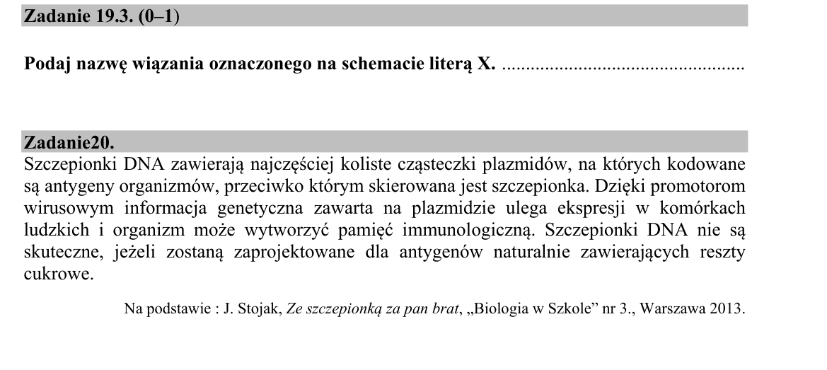 Zadanie 19.3; strona PDF 18