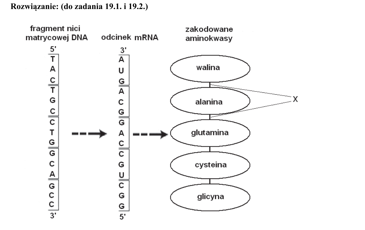Oryginalne wspólne rozwiązanie CKE
