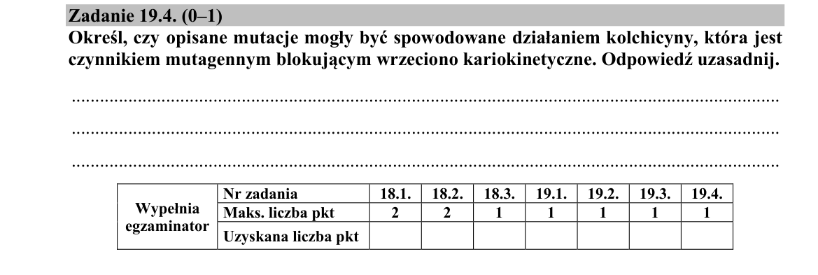 Zadanie 19.4; strona PDF 19