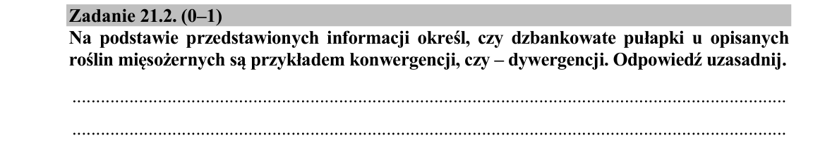 Zadanie 21.2; strona PDF 21