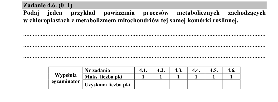 Zadanie 4.6; strona PDF 5
