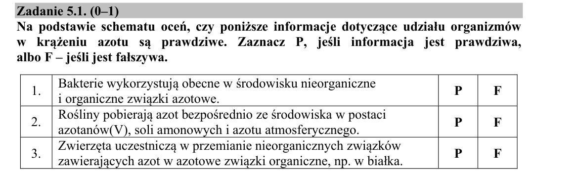 Zadanie 5.1; strona PDF 6