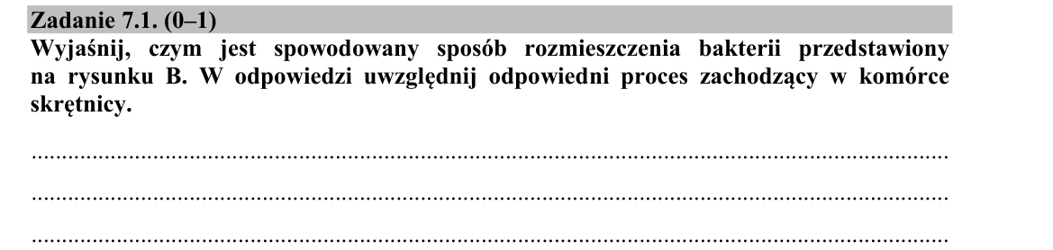 Zadanie 7.1; strona PDF 8