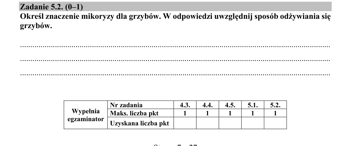 Zadanie 5.2; strona PDF 7