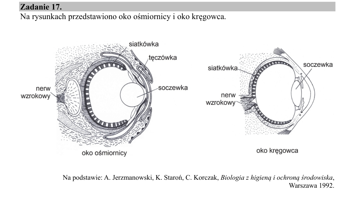 Materiał do zadania 17; strona PDF 19