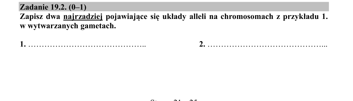 Zadanie 19.2; strona PDF 21