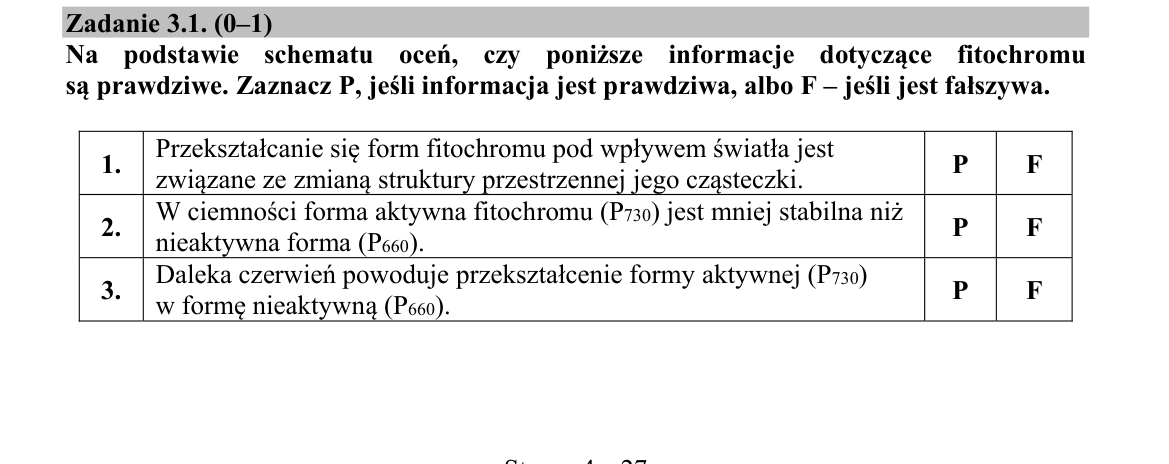 Zadanie 3.1; strona PDF 4