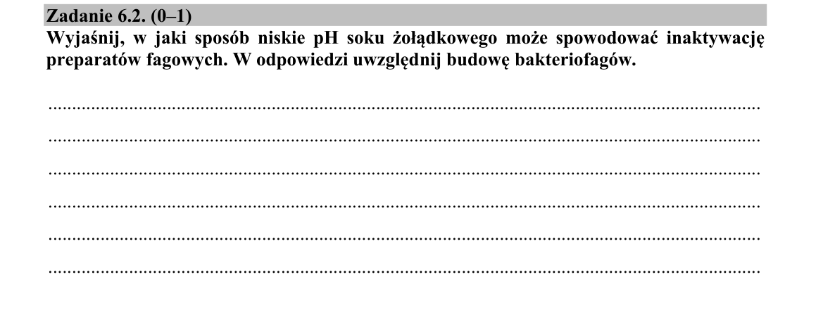 Zadanie 6.2; strona PDF 8