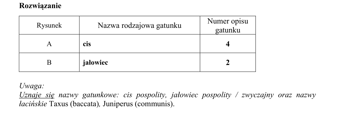 Klucz i zasady oceniania CKE; strona PDF 14
