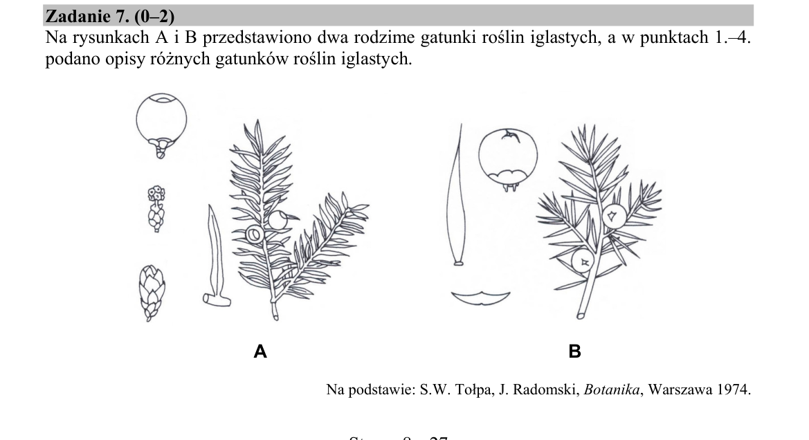 Zadanie 7; strona PDF 8