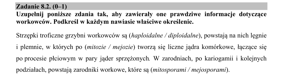 Zadanie 8.2; strona PDF 10