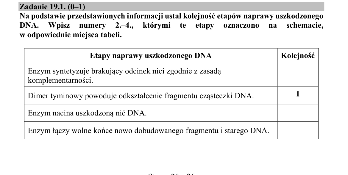 Zadanie 19.1; strona PDF 20