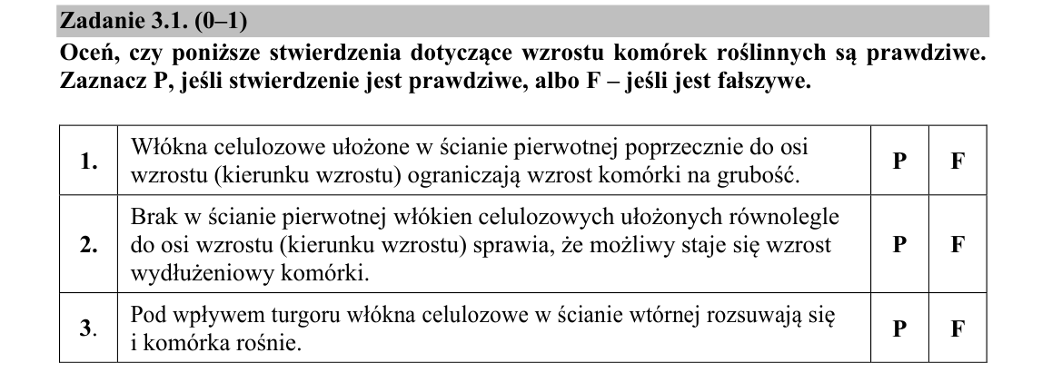 Zadanie 3.1; strona PDF 4