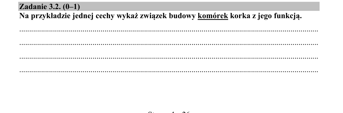 Zadanie 3.2; strona PDF 4