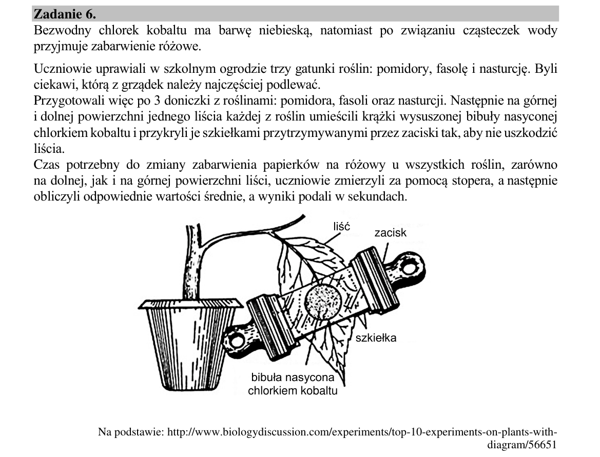 Materiał do zadania 6; strona PDF 9