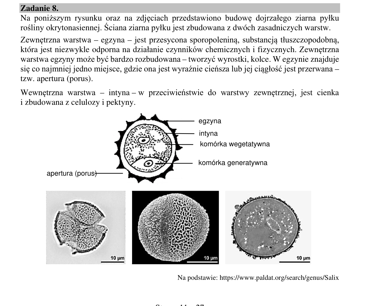Materiał do zadania 8; strona PDF 11