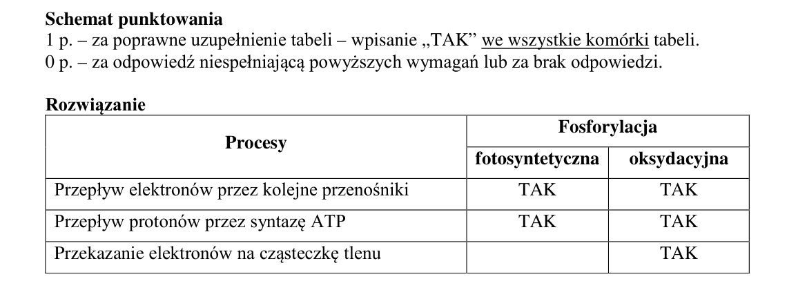 Klucz i zasady oceniania CKE; strona PDF 8