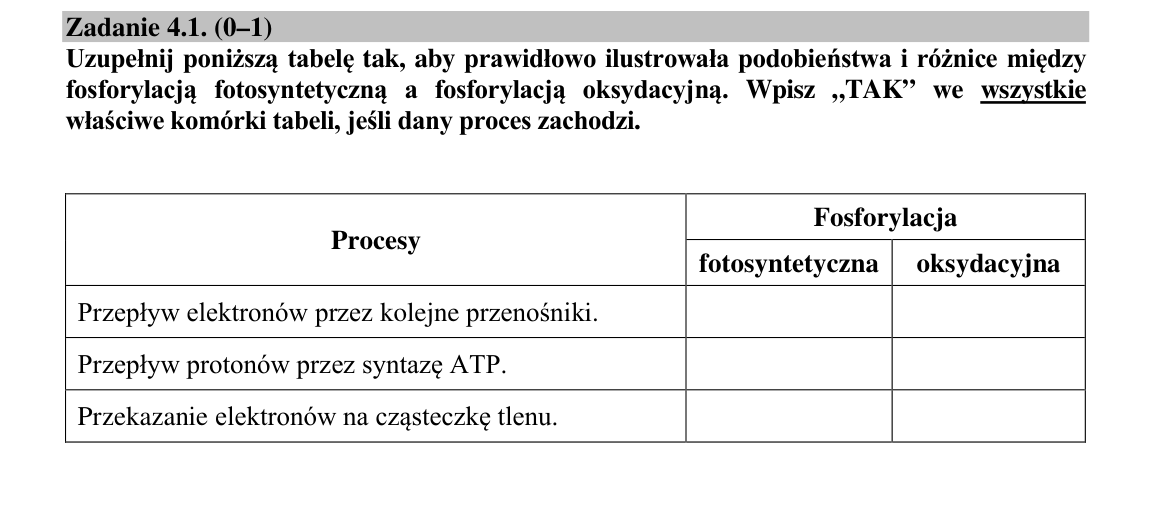 Zadanie 4.1; strona PDF 6