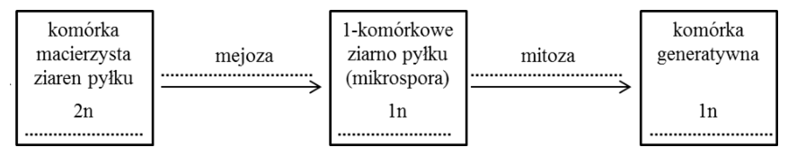 Ilustracja rozwiązania CKE