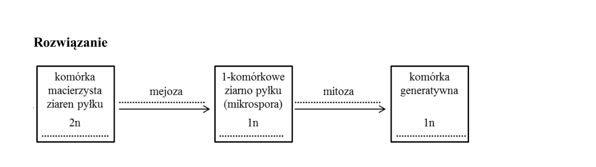 Klucz i zasady oceniania CKE; strona PDF 16