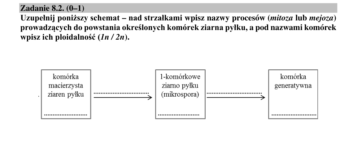Zadanie 8.2; strona PDF 12