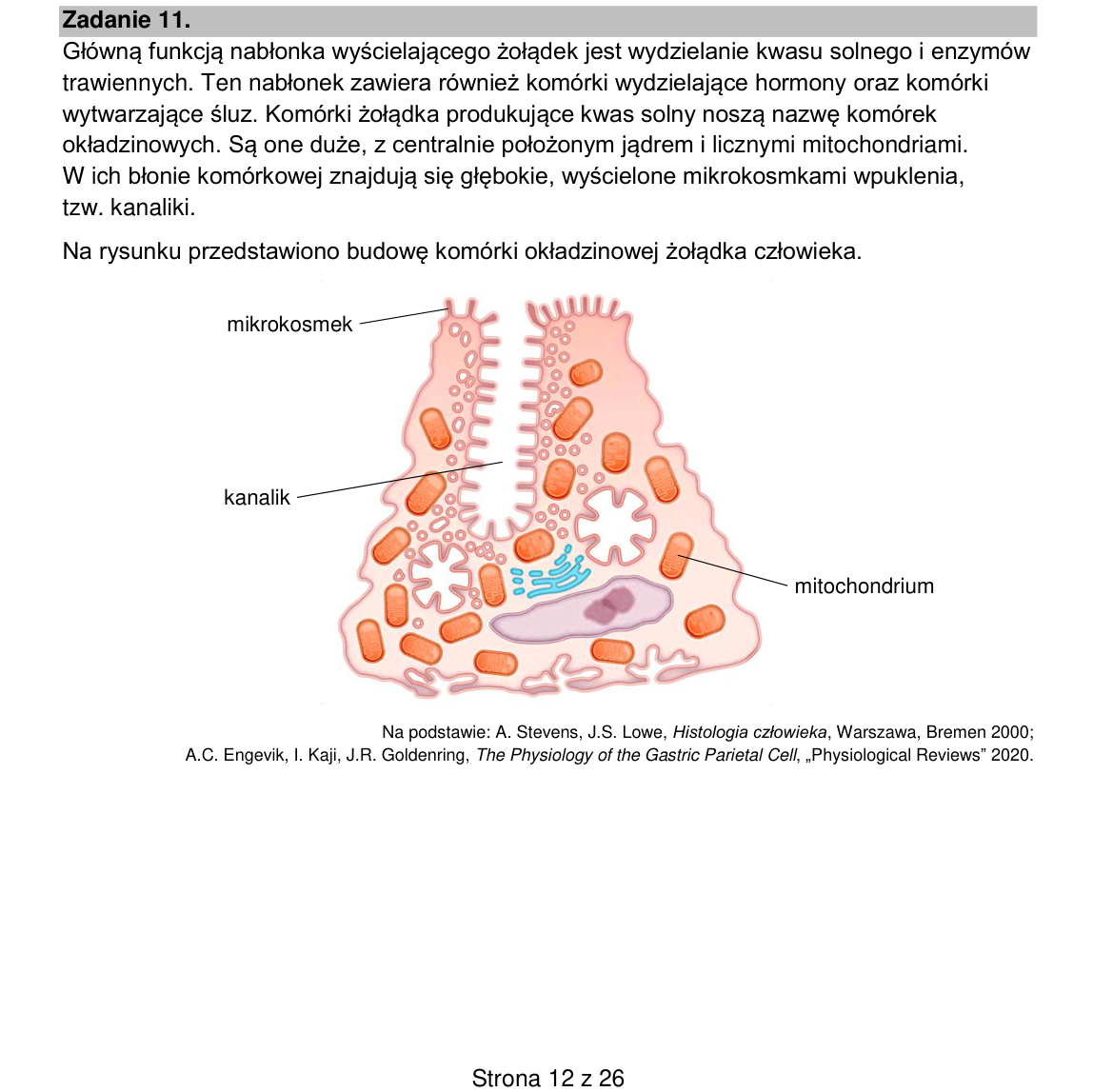 Materiał do zadania 11; strona PDF 12