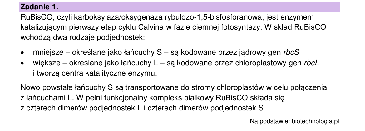 Materiał do zadania 1; strona PDF 4
