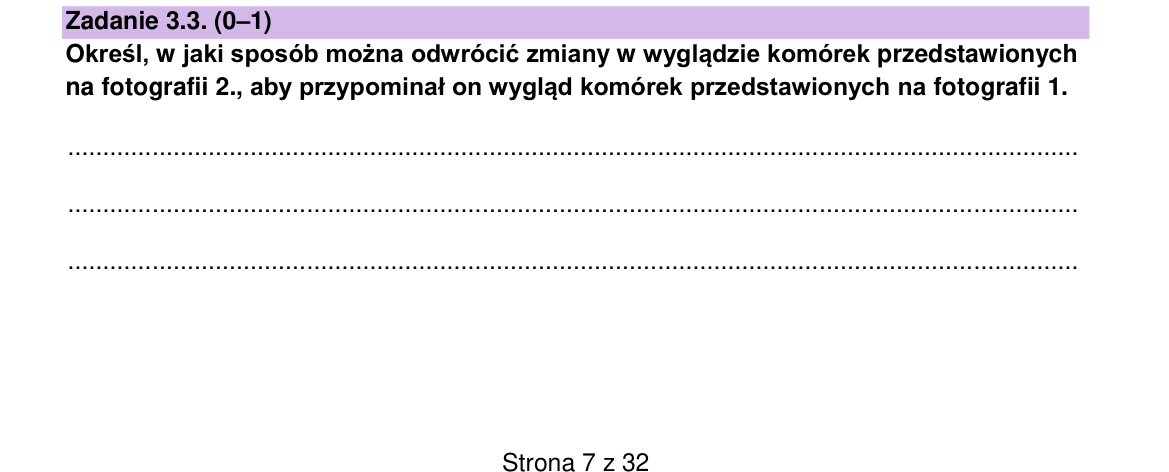 Zadanie 3.3; strona PDF 7