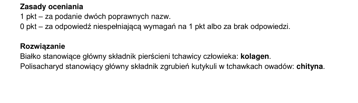 Klucz i zasady oceniania CKE; strona PDF 19