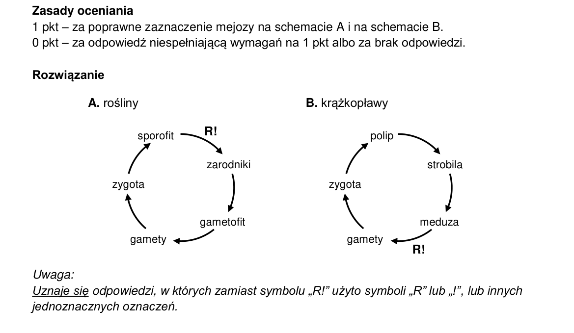 Klucz i zasady oceniania CKE; strona PDF 8