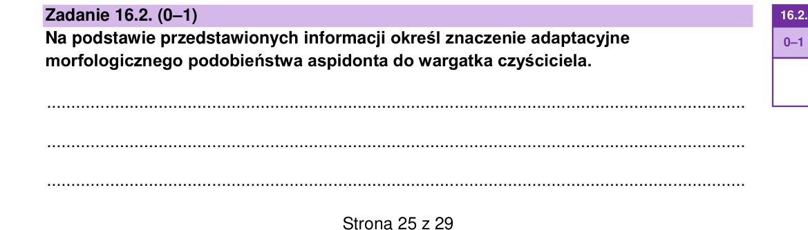 Zadanie 16.2; strona PDF 25