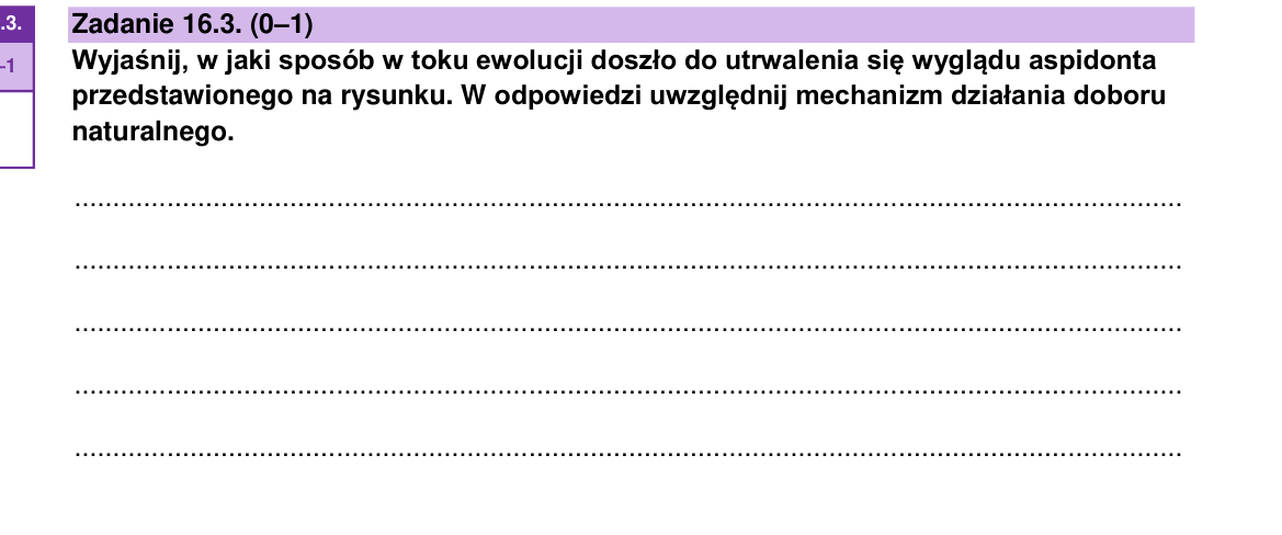 Zadanie 16.3; strona PDF 26
