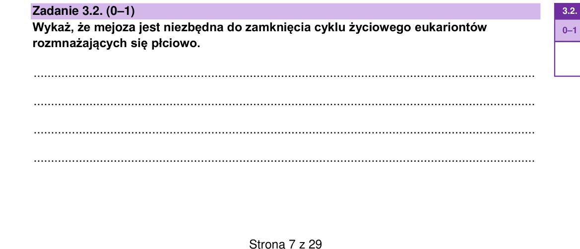 Zadanie 3.2; strona PDF 7