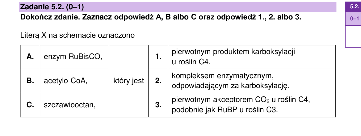Zadanie 5.2; strona PDF 11