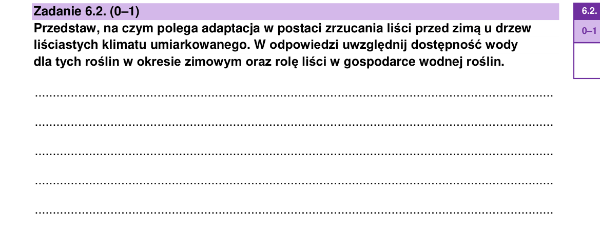 Zadanie 6.2; strona PDF 13