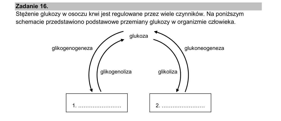 Materiał do zadania 16; strona PDF 22