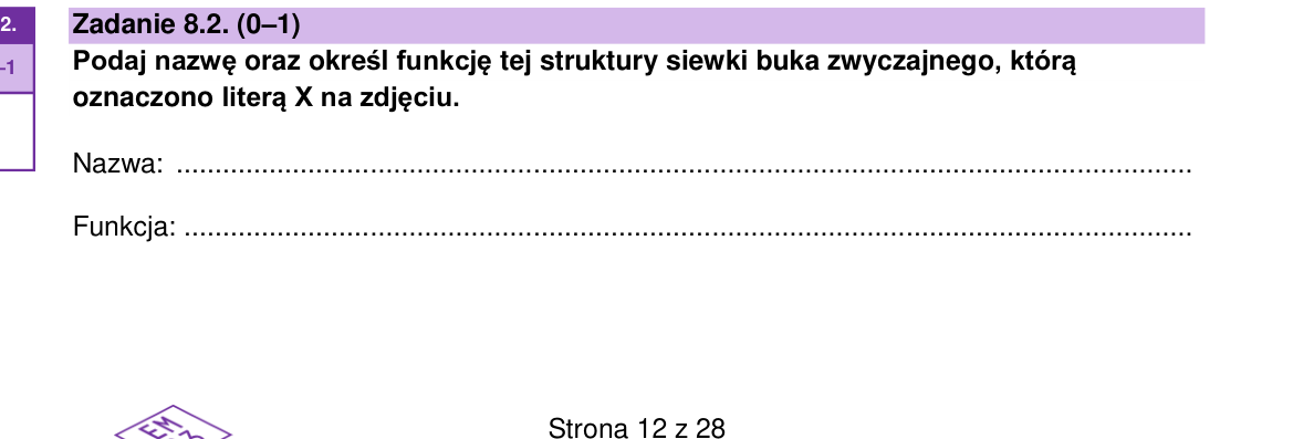 Zadanie 8.2; strona PDF 12