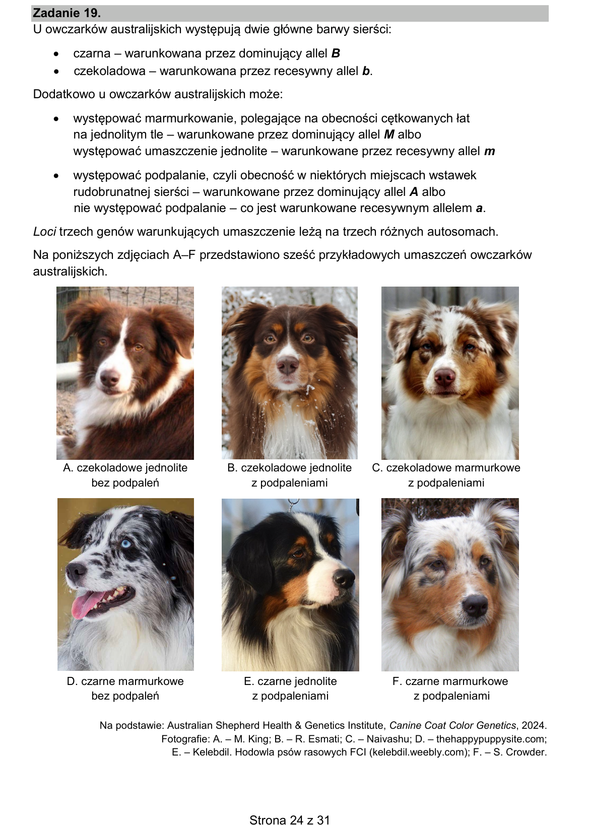 Materiał do zadania 19; strona PDF 24