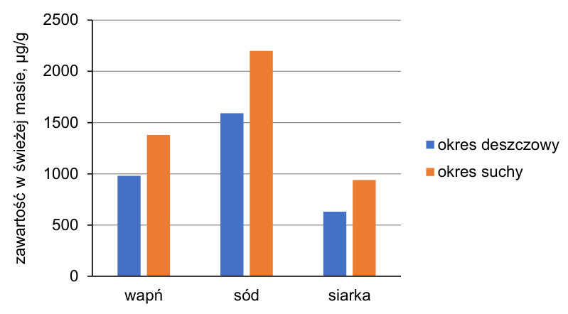 Zawartość wapnia, sodu i siarki w świeżej masie ogonków liściowych, w µg/g. Dla wszystkich trzech pierwiastków pomarańczowy słupek okresu suchego jest wyższy niż niebieski okresu deszczowego.