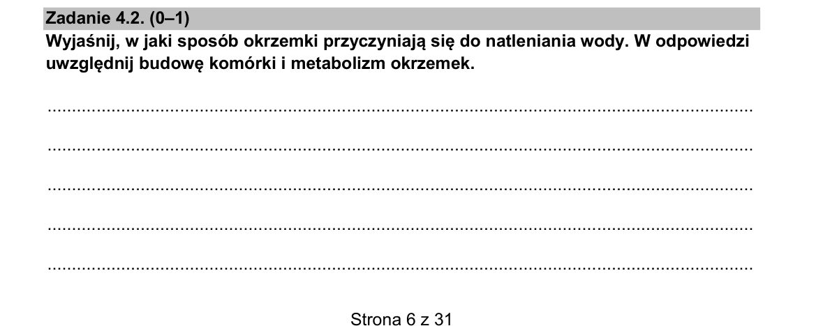Zadanie 4.2; strona PDF 6