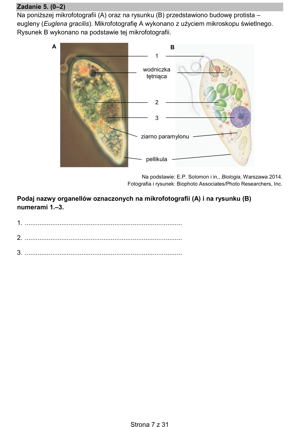 Zadanie 5; strona PDF 7