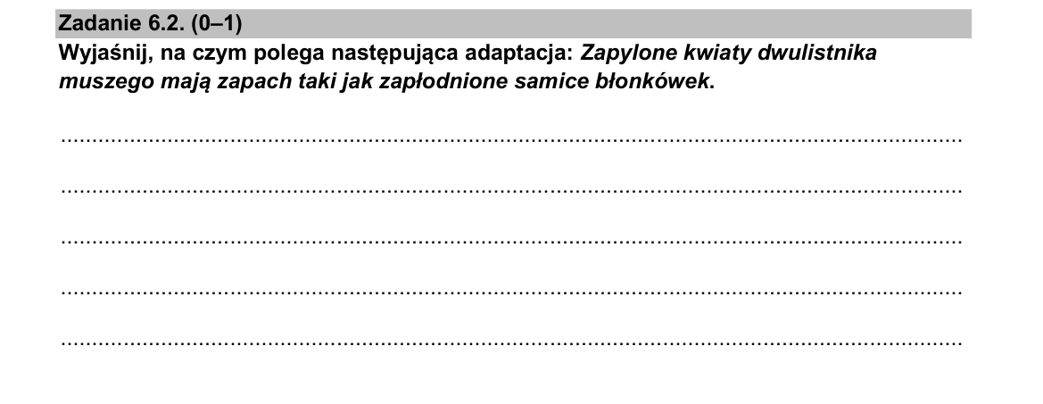 Zadanie 6.2; strona PDF 9