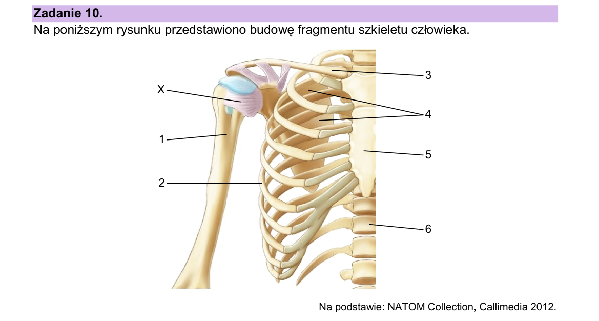 Materiał do zadania 10; strona PDF 14
