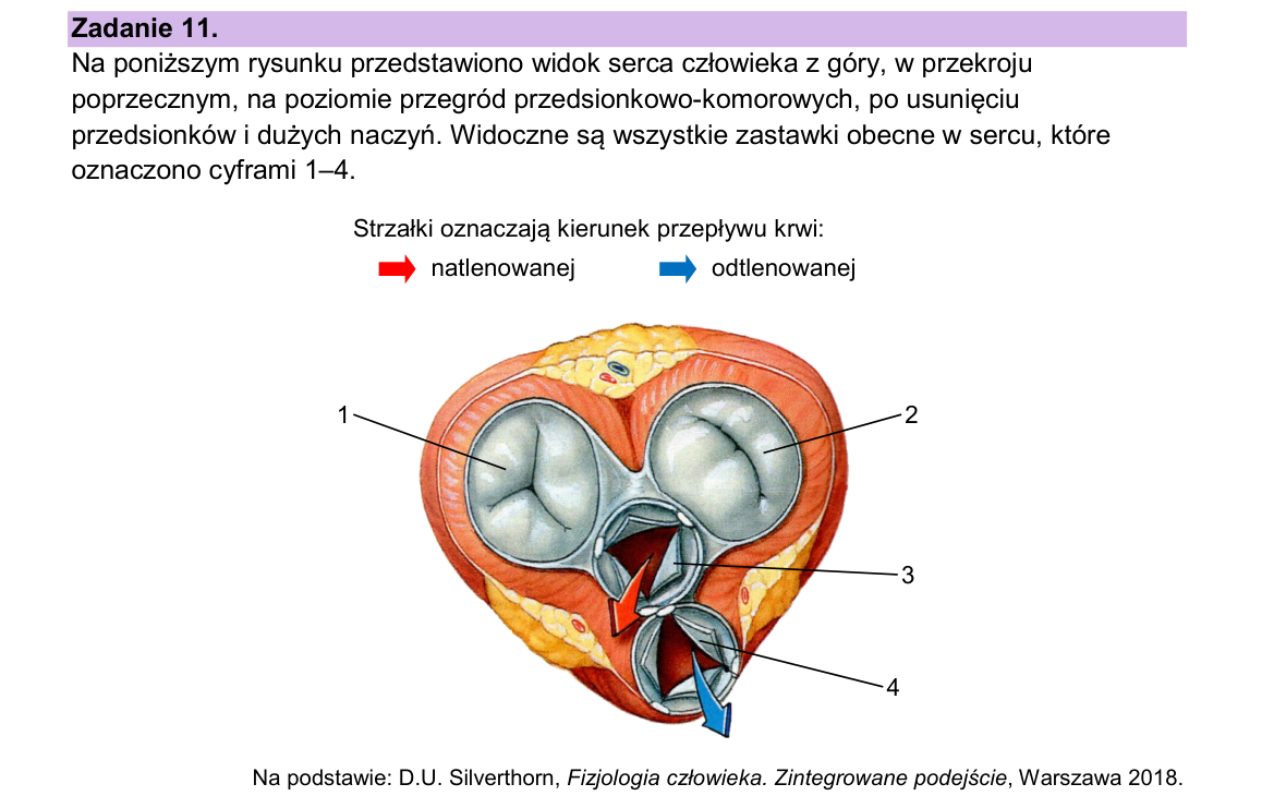 Materiał do zadania 11; strona PDF 15