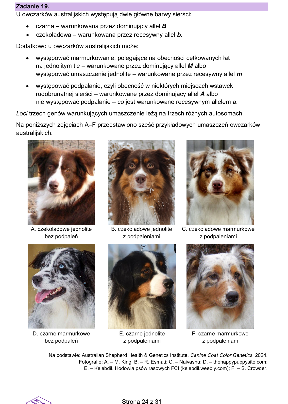 Materiał do zadania 19; strona PDF 24