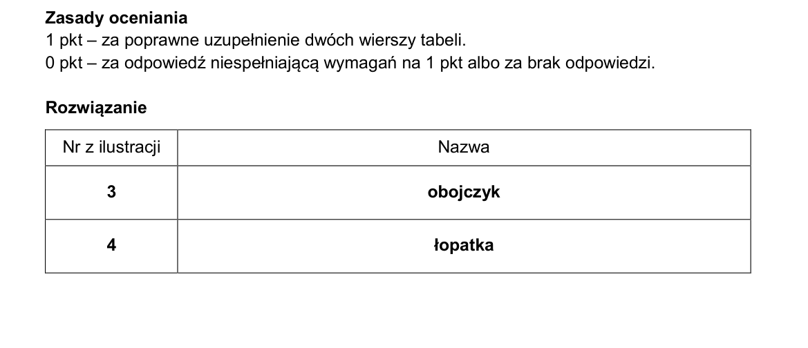 Klucz i zasady oceniania CKE; strona PDF 14