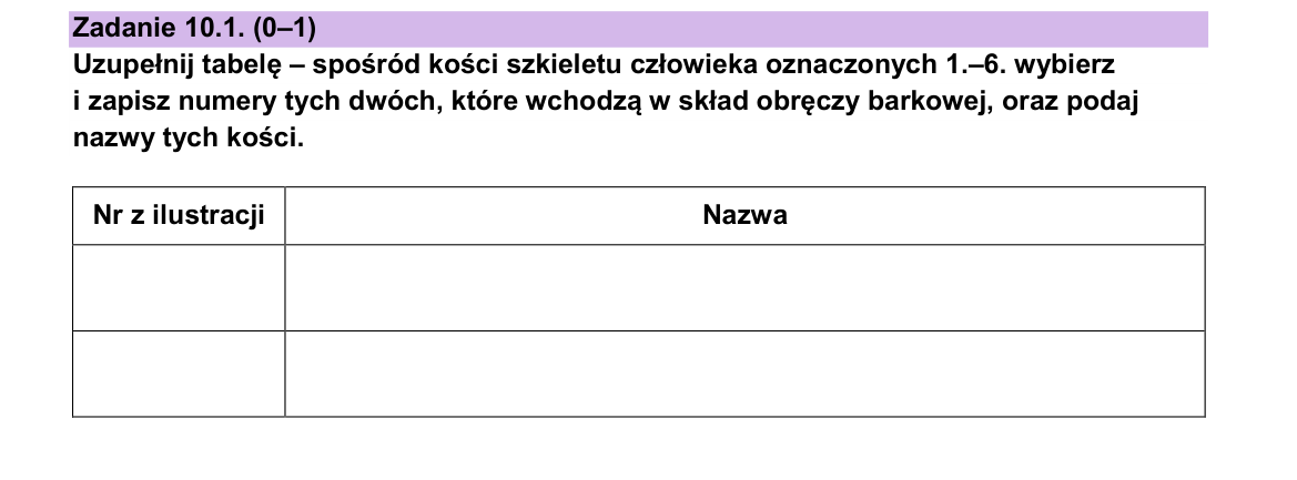 Zadanie 10.1; strona PDF 14