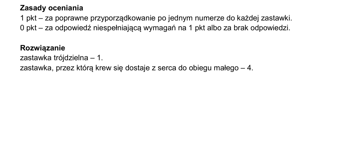 Klucz i zasady oceniania CKE; strona PDF 15