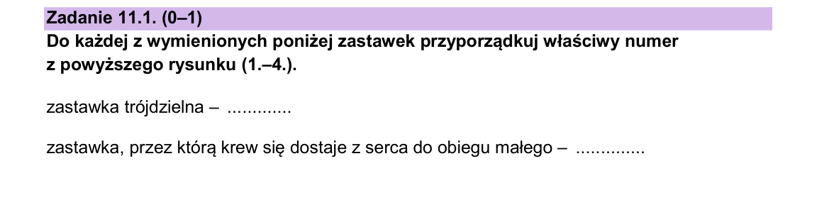 Zadanie 11.1; strona PDF 15